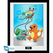 Pokemon Framed Print - Kanto Starters