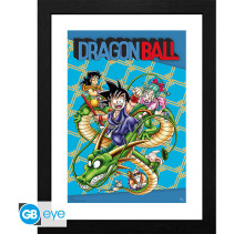 Dragonball Framed Print - Cover