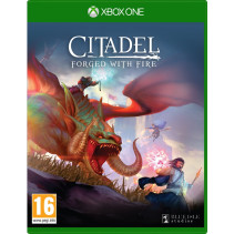 Citadel Forged with Fire