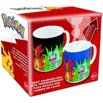Pokémon - Train & Battle - Heat Change Mok