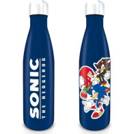 Sonic the Hedgehog Metal Drinks Bottle